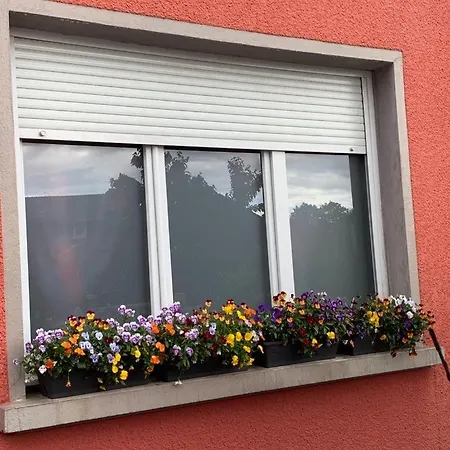 Couleur Framboise Séjour chez l'habitant Longwy