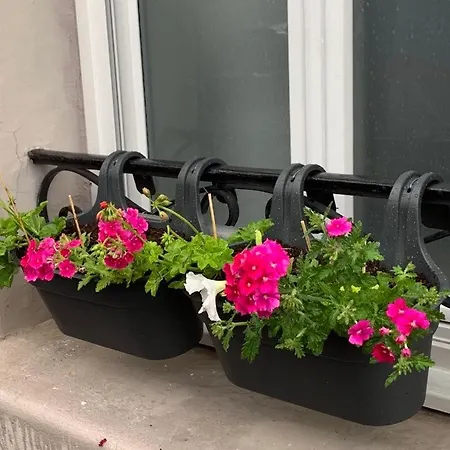 Couleur Framboise Accommodatie bij particulieren *