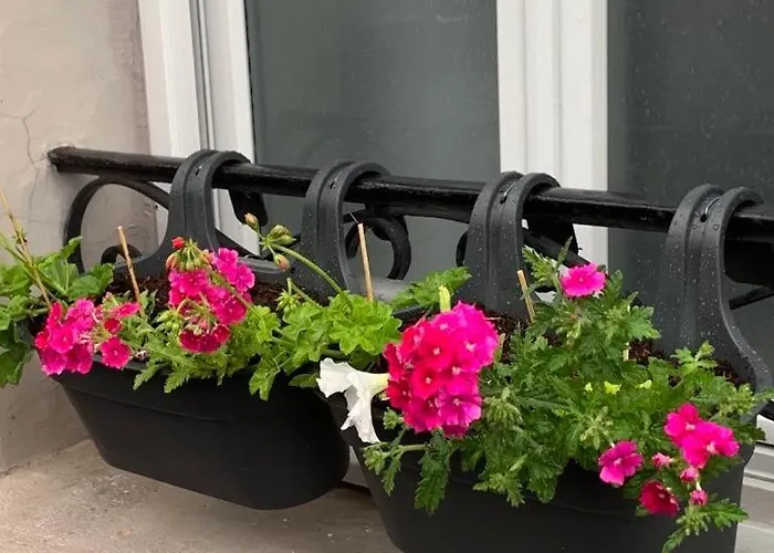 Couleur Framboise Ubytování v soukromí *